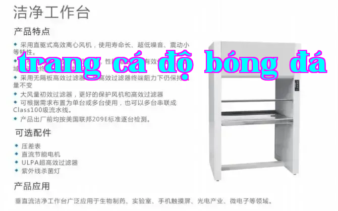 Bàn làm việc tinh chế
