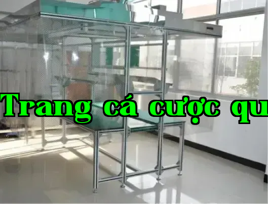 Dây chuyền sản xuất sạch sẽ