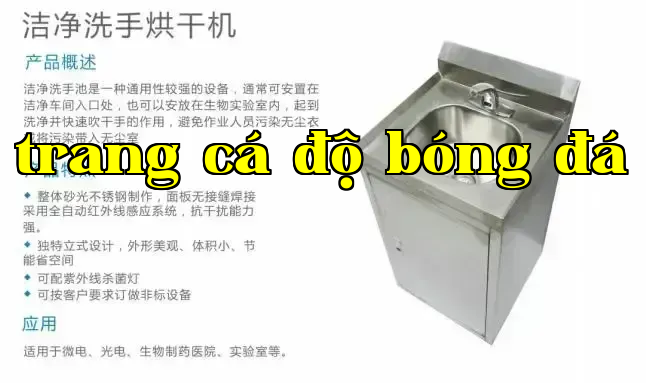 Máy sấy tay làm sạch