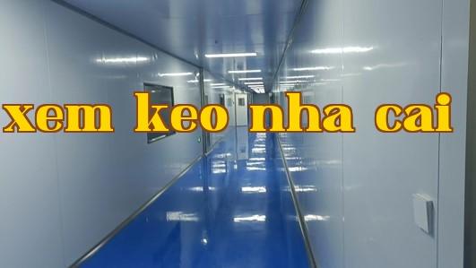 Trang trí phòng sạch nhà xưởng công ty công nghệ