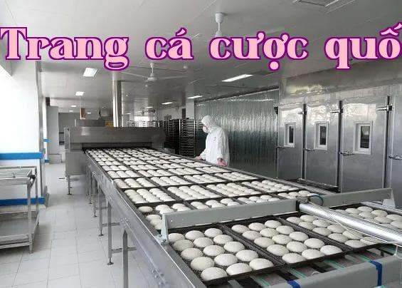 Trang trí phòng sạch nhà máy chế biến thực phẩm