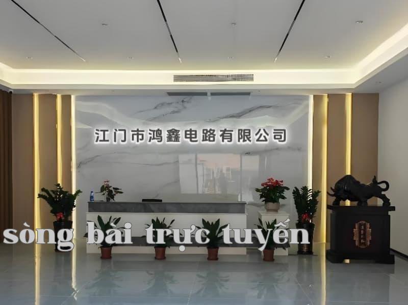 Công ty TNHH Mạch In Hồng Tín, Mã Đầu