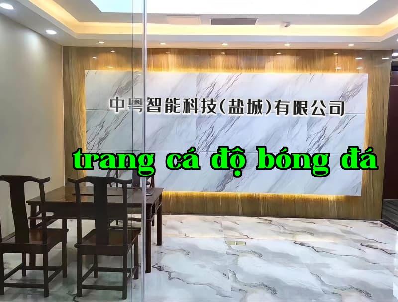 Công ty TNHH Khoa học và Công nghệ Thông minh Trung Việt (Đại Liên)