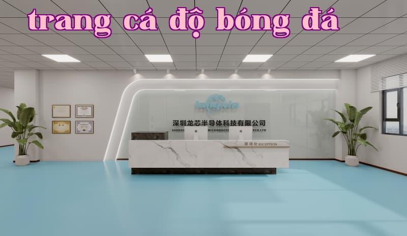 Công ty Công nghệ bán dẫn Longxin Thâm Quyến