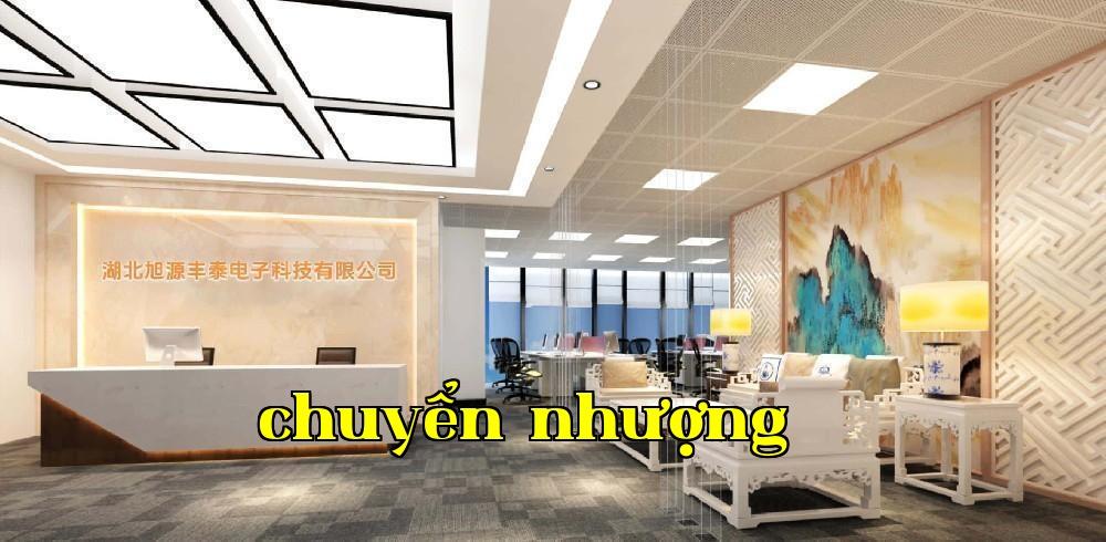 Công ty TNHH Điện Tử Huy Nguyên Phong Thai, Hồ Bắc