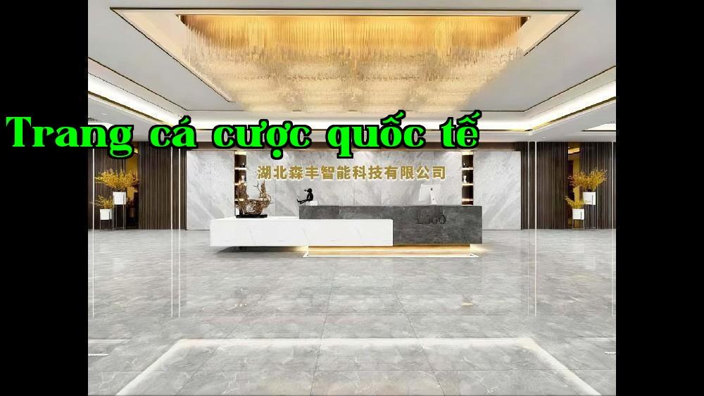 Công ty TNHH Công nghệ Thông minh Tôn Phong, Hồ Bắc