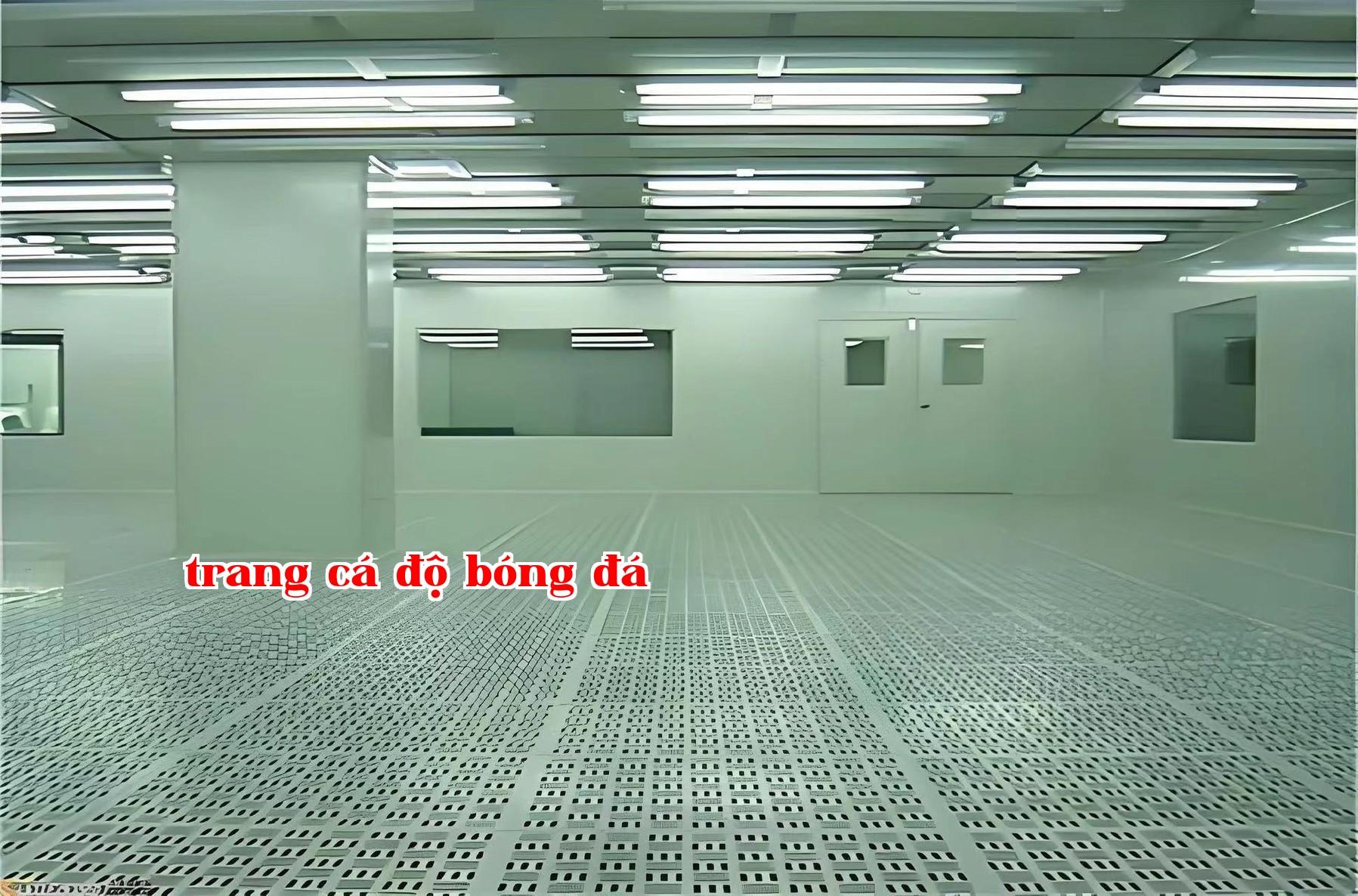 Phong sach 20.jpg